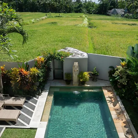 Ananditha Villa Ubud Ricefield Views